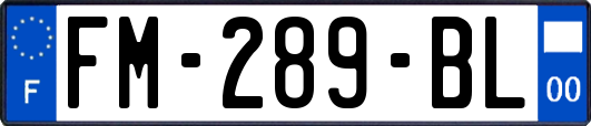 FM-289-BL