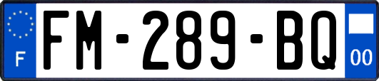 FM-289-BQ