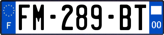 FM-289-BT