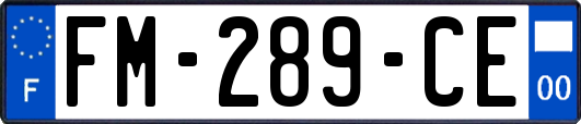 FM-289-CE
