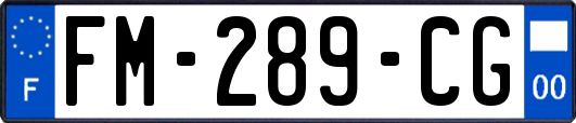 FM-289-CG