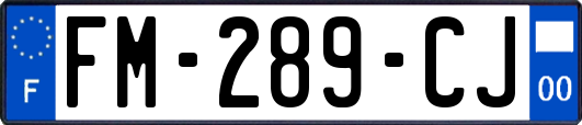 FM-289-CJ