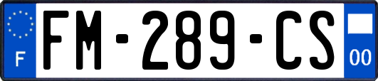 FM-289-CS