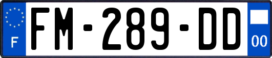 FM-289-DD