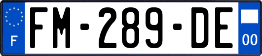 FM-289-DE