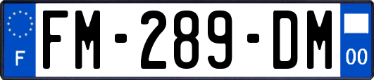 FM-289-DM