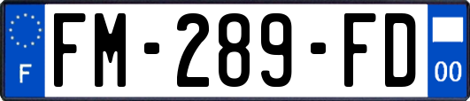 FM-289-FD
