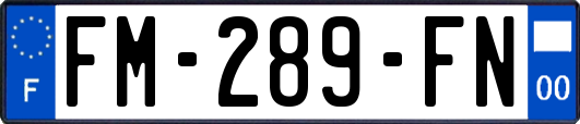 FM-289-FN