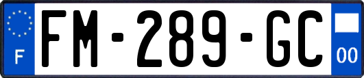 FM-289-GC
