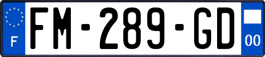 FM-289-GD