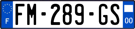 FM-289-GS
