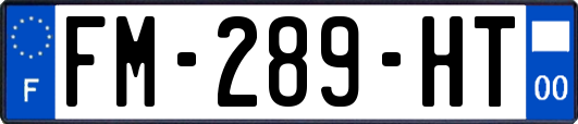 FM-289-HT