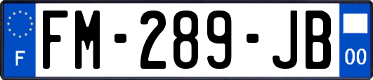 FM-289-JB