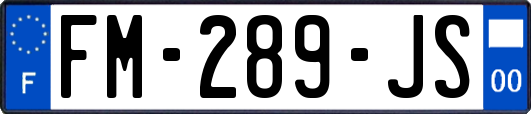 FM-289-JS