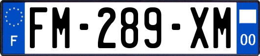 FM-289-XM