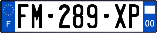FM-289-XP