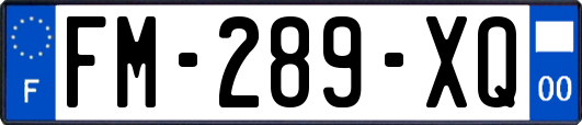 FM-289-XQ
