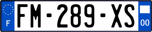 FM-289-XS
