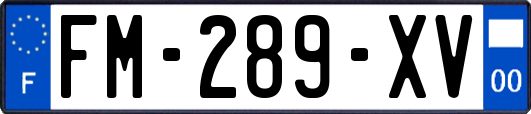 FM-289-XV