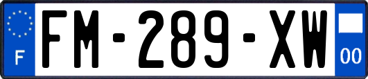 FM-289-XW