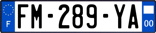 FM-289-YA