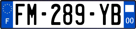 FM-289-YB