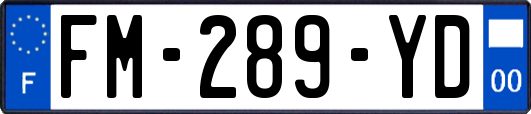 FM-289-YD