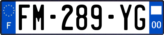 FM-289-YG