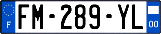 FM-289-YL