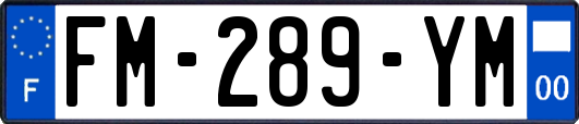 FM-289-YM