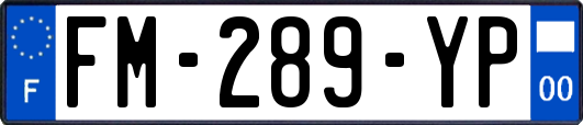 FM-289-YP