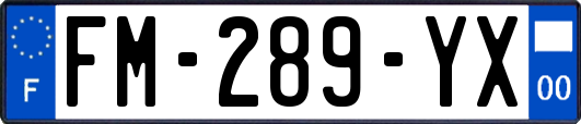FM-289-YX