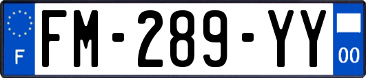 FM-289-YY