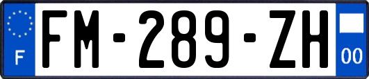 FM-289-ZH