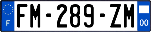 FM-289-ZM