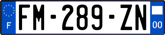FM-289-ZN