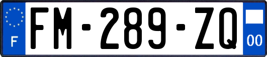 FM-289-ZQ