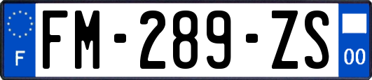 FM-289-ZS