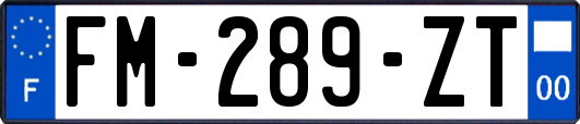 FM-289-ZT