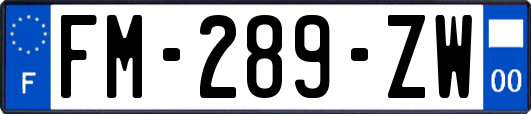 FM-289-ZW