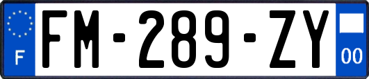 FM-289-ZY