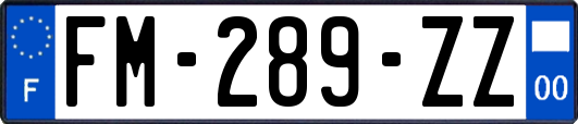 FM-289-ZZ