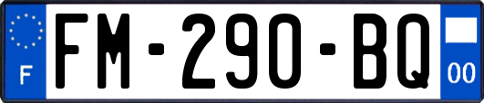 FM-290-BQ