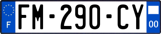 FM-290-CY