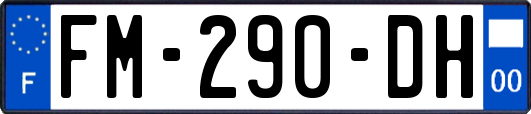 FM-290-DH