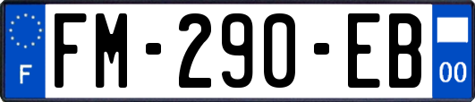 FM-290-EB