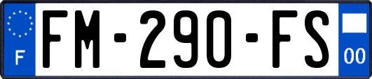 FM-290-FS
