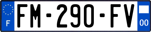 FM-290-FV