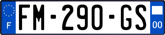 FM-290-GS
