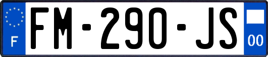 FM-290-JS